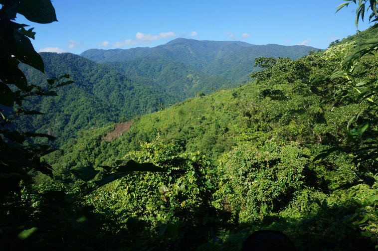 Mt. Popomanaseu, Guadalcanal Highlands, Solomon Islands